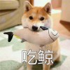 大表哥